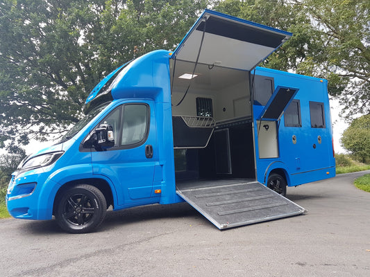 Neoprene Sponge D Section Heavy Duty 25mm x 25mm Sponge Section - The Seal Extrusion Company LTD