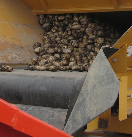 TSEC SLSPONGE Soft Landing (Bruiseproof Sponge) - The Seal Extrusion Company LTD