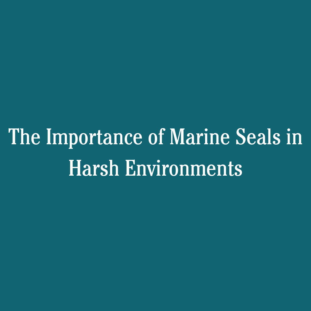 The Importance of Marine Seals in Harsh Environments