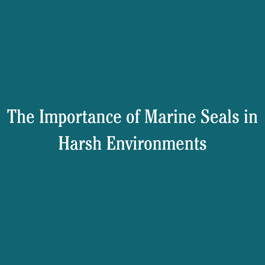 The Importance of Marine Seals in Harsh Environments